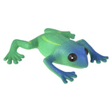 Giant Grow Frog (1 DZ)