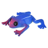 Giant Grow Frog (1 DZ)