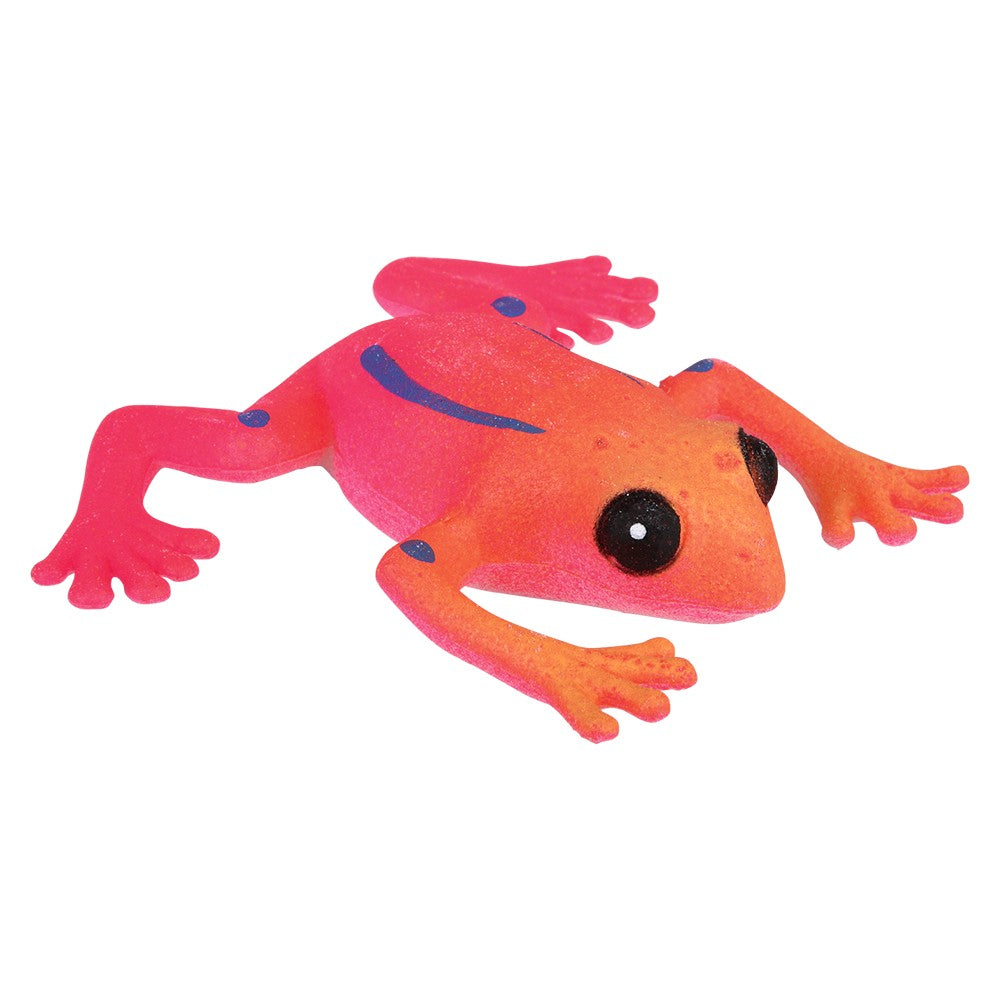 Giant Grow Frog (1 DZ)