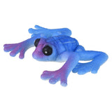 Giant Grow Frog (1 DZ)