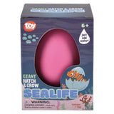 Hatch And Grow Sea Life (8 Pc Inner Box)
