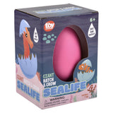 Hatch And Grow Sea Life (8 Pc Inner Box)