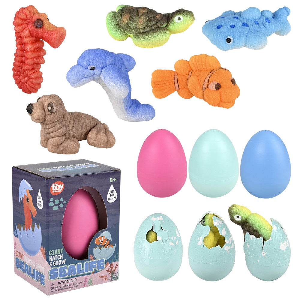 Hatch And Grow Sea Life (8 Pc Inner Box)