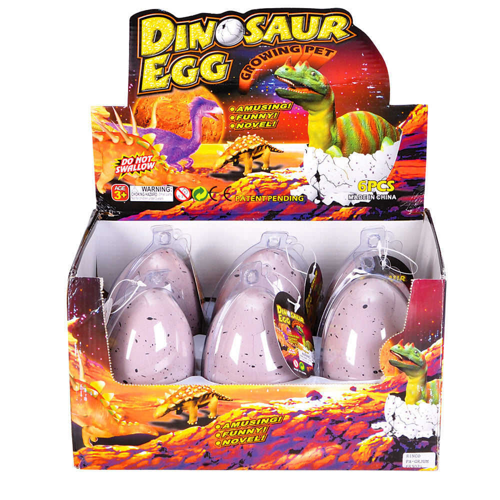 Growing Dinosaur Egg (6 Pc Display)
