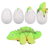 Growing Dinosaur Egg (6 Pc Display)