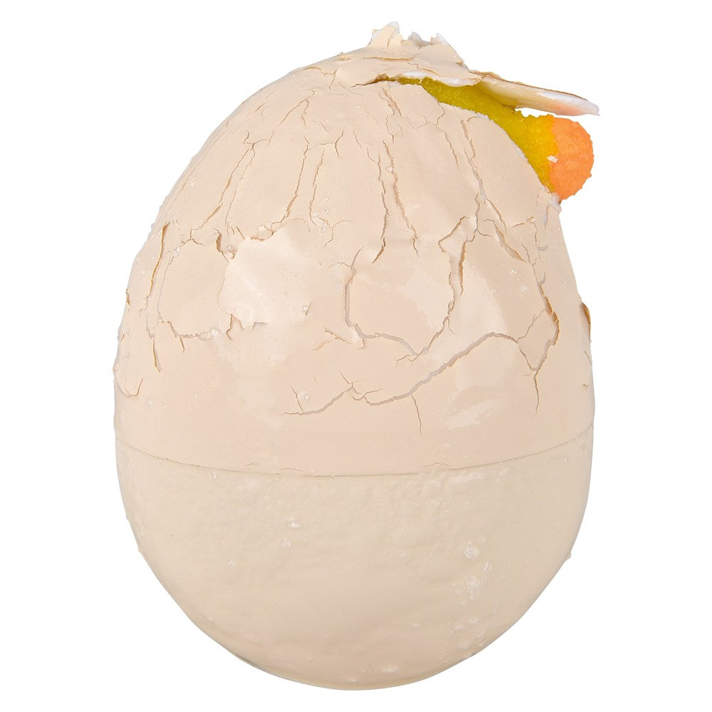 Hatch And Grow Chick Egg (12 Pc Display)