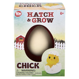 Hatch And Grow Chick Egg (12 Pc Display)