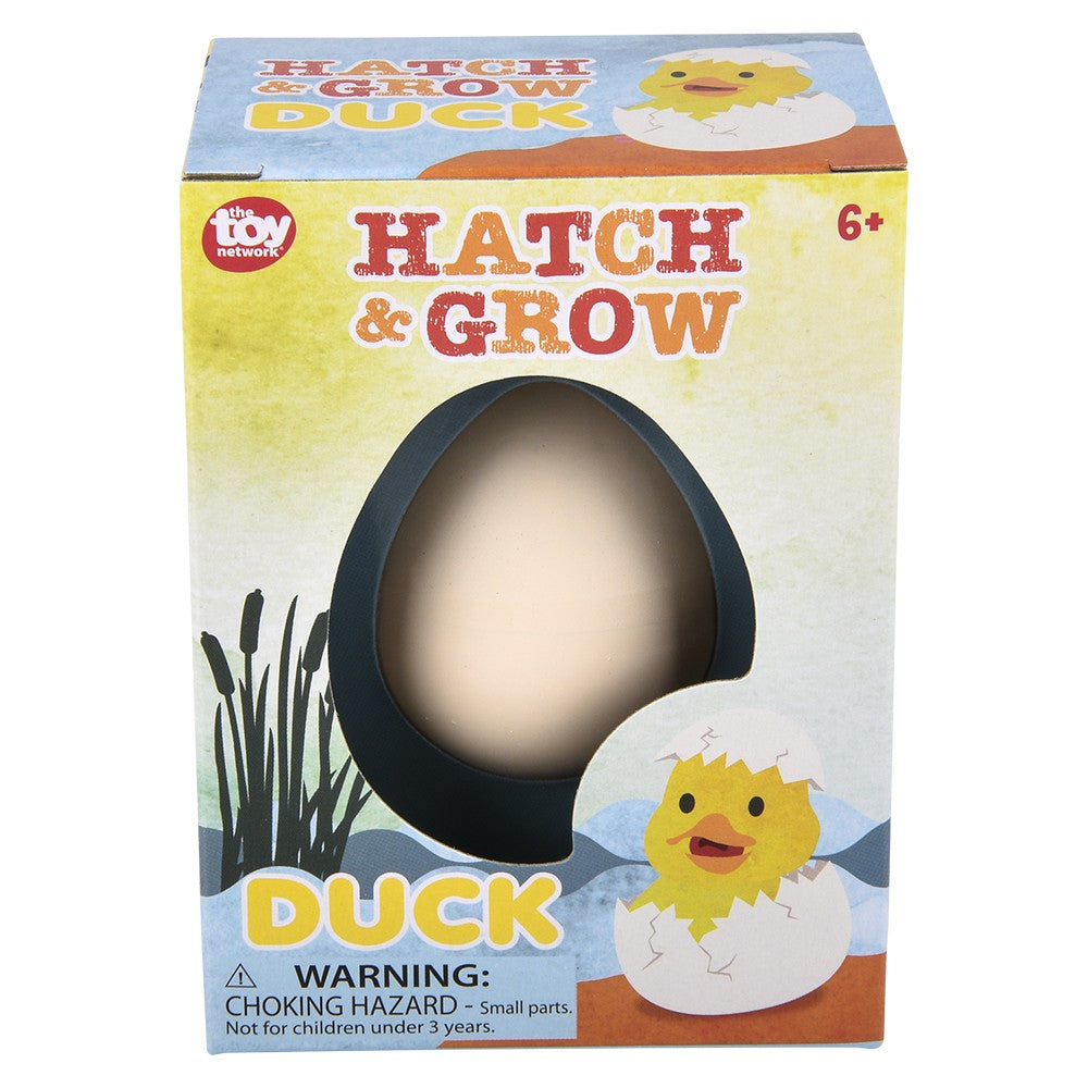 Hatch and Grow Duck Egg (12 PC Display)