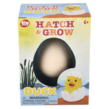 Hatch and Grow Duck Egg (12 PC Display)