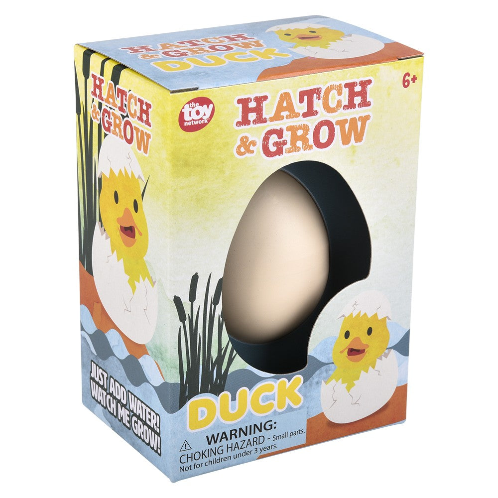 Hatch and Grow Duck Egg (12 PC Display)