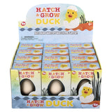 Hatch and Grow Duck Egg (12 PC Display)