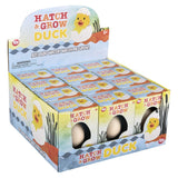 Hatch and Grow Duck Egg (12 PC Display)