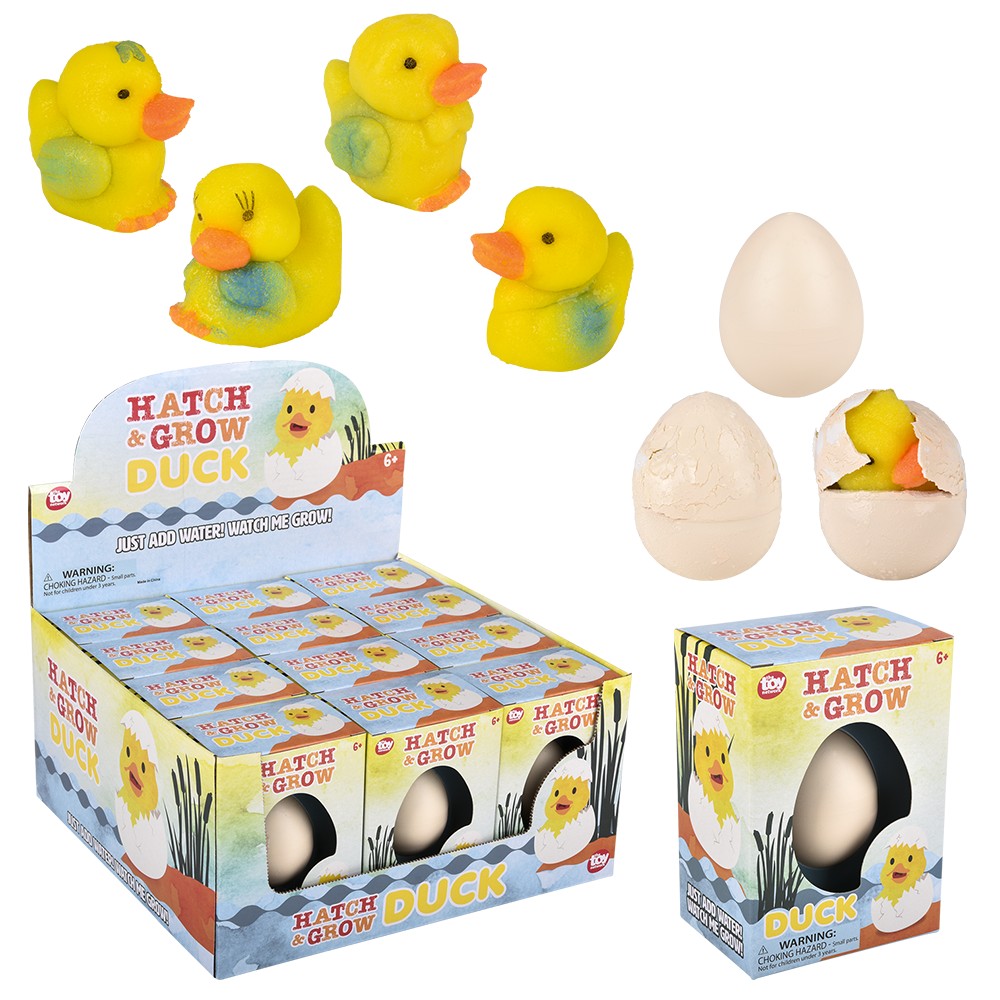 Hatch and Grow Duck Egg (12 PC Display)