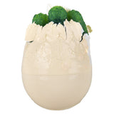 Hatch and Grow Gator Egg (12 PC Display)