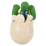 Hatch and Grow Gator Egg (12 PC Display)
