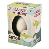 Hatch and Grow Gator Egg (12 PC Display)