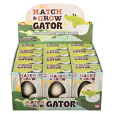 Hatch and Grow Gator Egg (12 PC Display)