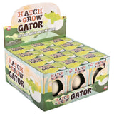 Hatch and Grow Gator Egg (12 PC Display)