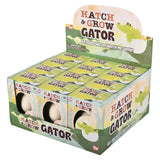 Hatch and Grow Gator Egg (12 PC Display)