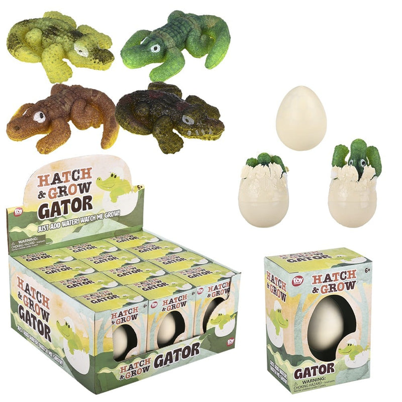 Hatch and Grow Gator Egg (12 PC Display)