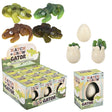 Hatch and Grow Gator Egg (12 PC Display)