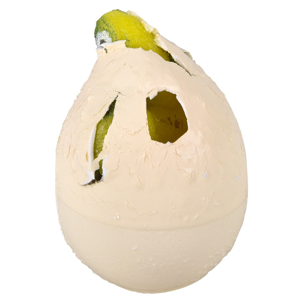 Hatch and Grow Turtle Egg (1 DSP)