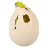 Hatch and Grow Turtle Egg (1 DSP)