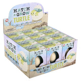 Hatch and Grow Turtle Egg (1 DSP)