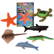 Growing Sea Animals (1 DZC)