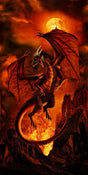 Cotton Fabric Fire Dragon Panel 24" x 44"/45"