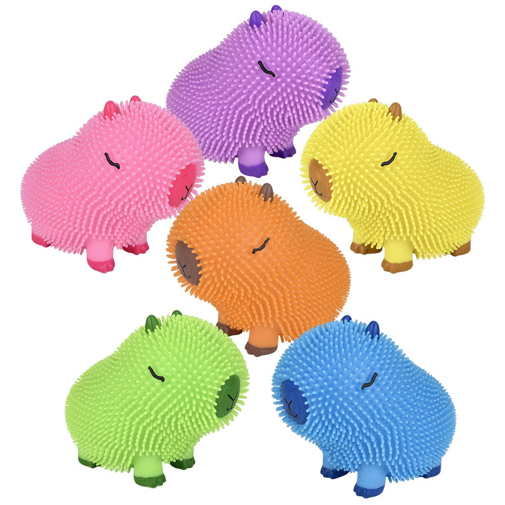 Capybara Puffer Assorted Colors (12 Pc Display Box)