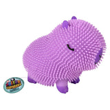 Capybara Puffer Assorted Colors (12 Pc Display Box)