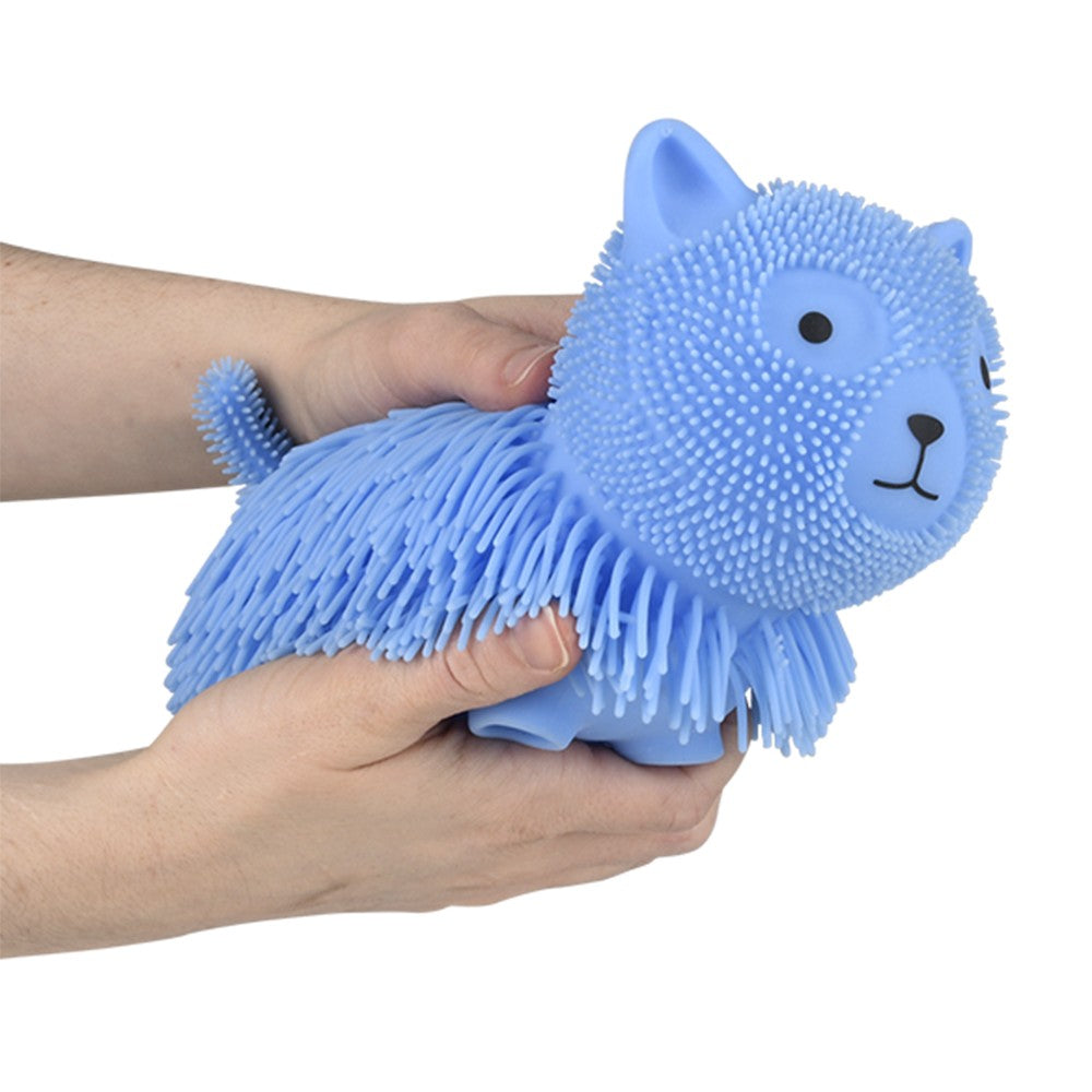 Shaggy Puffer Cat (12 Pc Display Box)