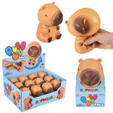 Puff-Up Pal Capybara (1 DSP)