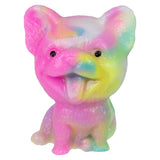Sticky Rainbow Corgi (12 PC Display)
