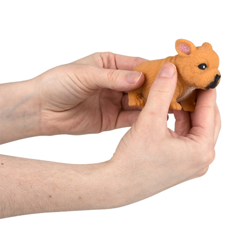 Stretchy Squish Bulldog (1 DZ)