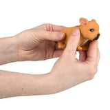 Stretchy Squish Bulldog (1 DZ)