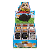 Stretchy Cat Fidget Toy (12 PC Display)