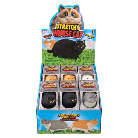 Stretchy Cat Fidget Toy (12 PC Display)