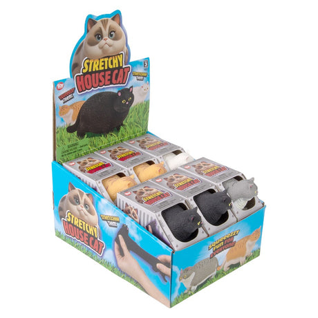 Stretchy Cat Fidget Toy (12 PC Display)