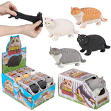 Stretchy Cat Fidget Toy (12 PC Display)