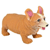Stretchy Squish Corgi (12 DZ Display)