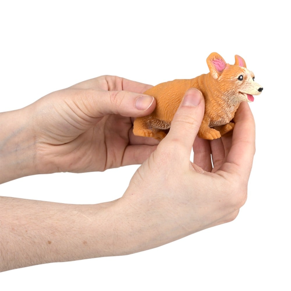 Stretchy Squish Corgi (12 DZ Display)