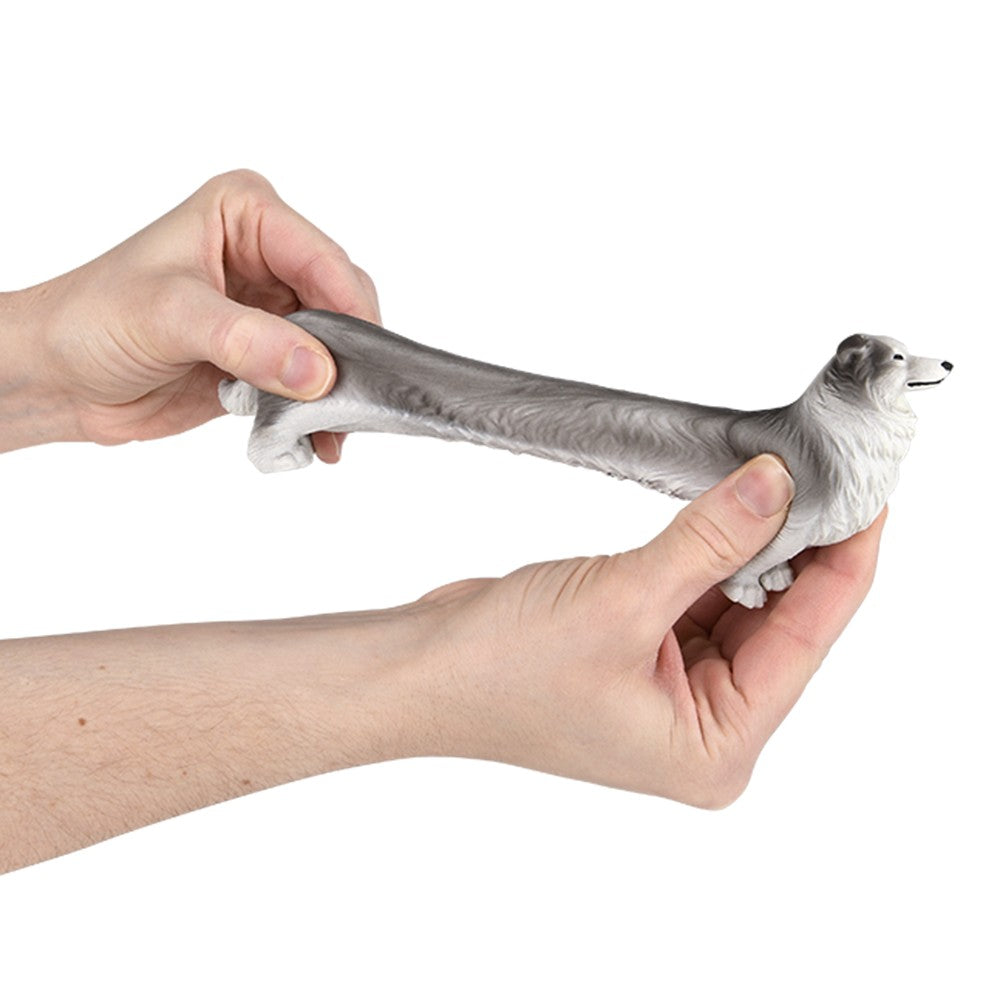 Stretchy Collie Fidget Toy (12 PC Display)