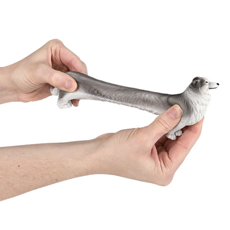 Stretchy Collie Fidget Toy (12 PC Display)