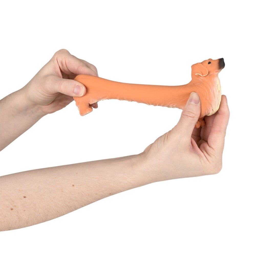 Stretchy Golden Retriever Fidget Toy (12 PC Display)