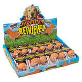 Stretchy Golden Retriever Fidget Toy (12 PC Display)