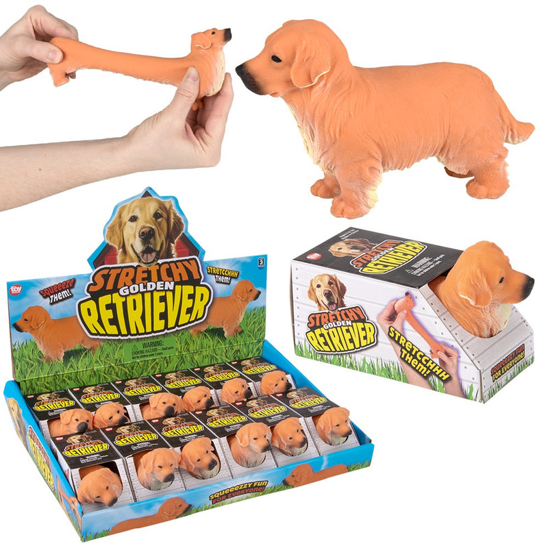 Stretchy Golden Retriever Fidget Toy (12 PC Display)