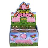 Stretchy Squish Pig (12 Pc Display)
