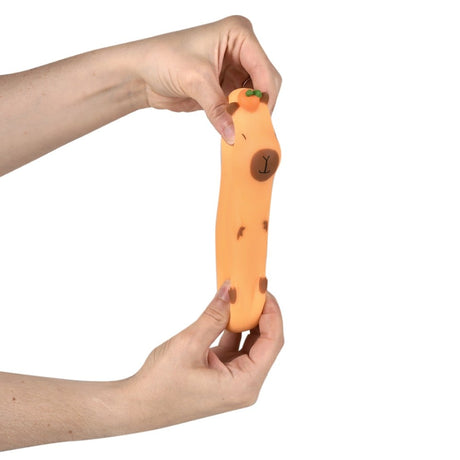 Stretchy Sand Capybara Toy (12 Pc Display)